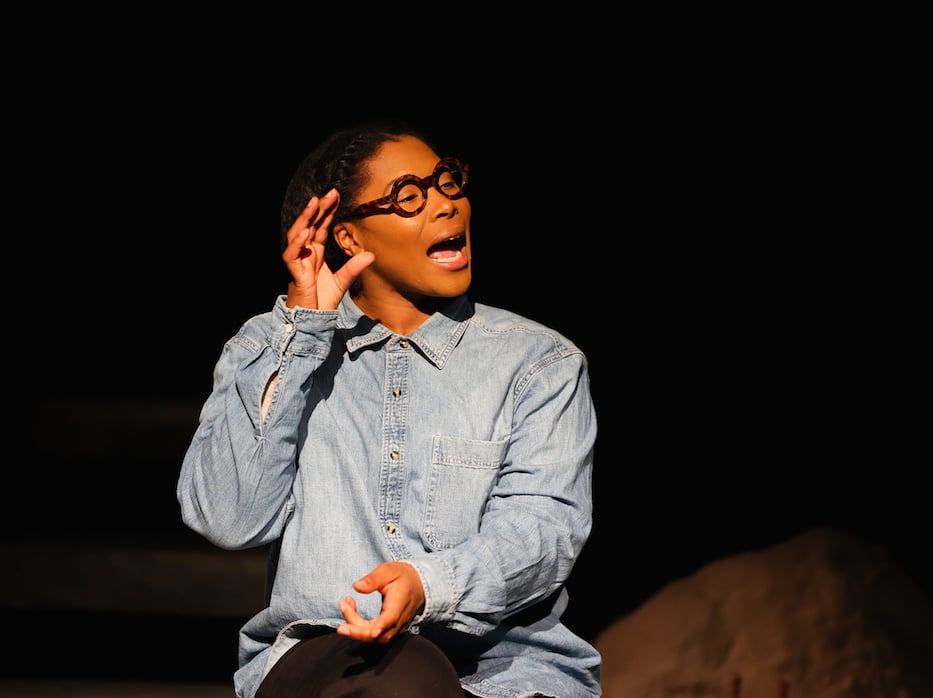 30 Years Later, "Fires In The Mirror" Ignites A Dialogue At Long Wharf